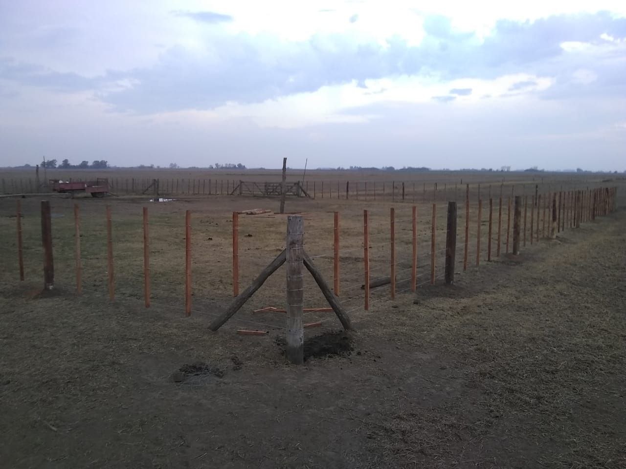 Alambrado en campo