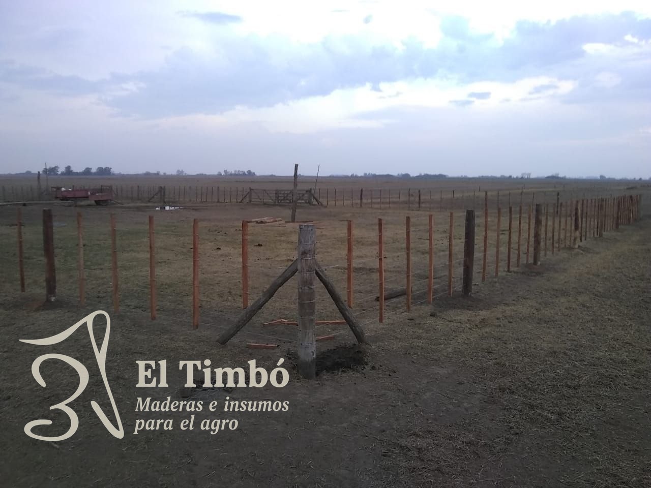 Alambrado en campo