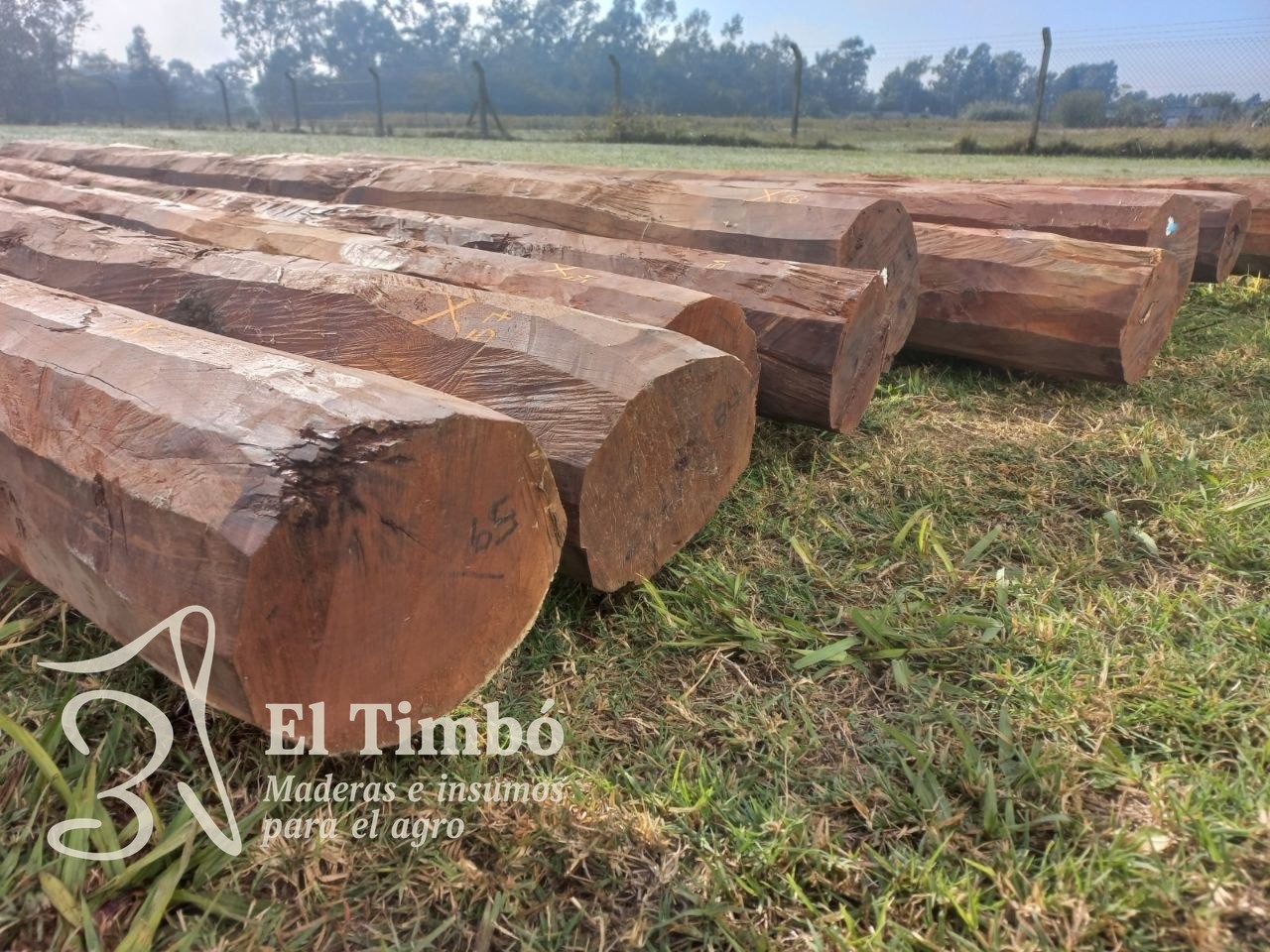 Postes de Quebracho